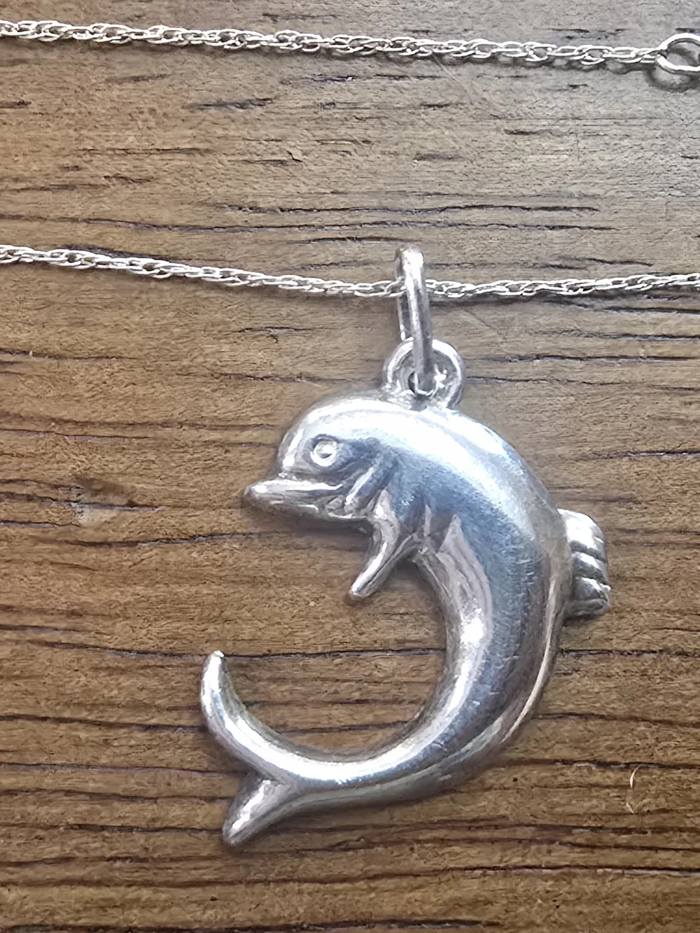 Sterling Silver Dolphin Pendant With Necklace 21